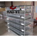 Sistema automático de água Quail Barreding Cages